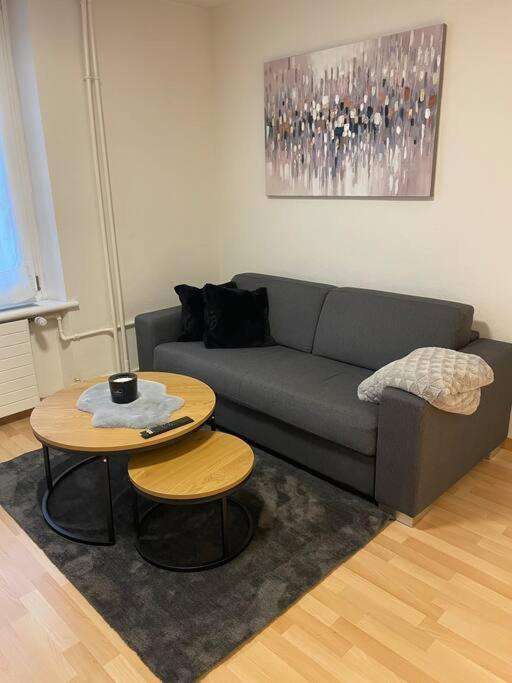 Gemuetliche Wohnung An Bester Lage Im Kreis 4 Zürich Eksteriør billede